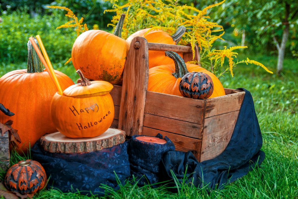 Halloween pumpkin photo session